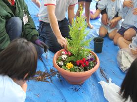 寄せ植え体験