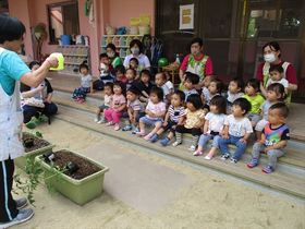 ゆき・はなぐみも夏野菜を植えました！