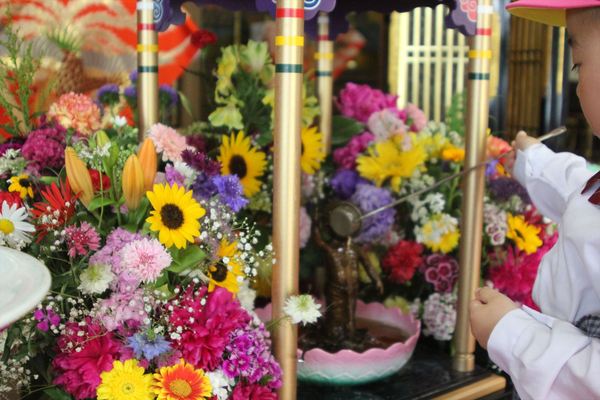 IMG_6257_R.JPG
