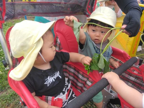 photo_69537200_R.jpg
