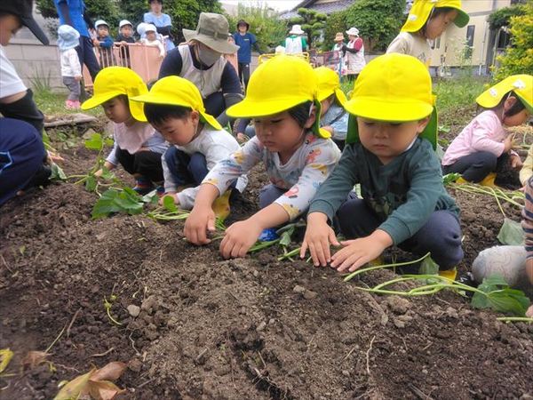 photo_69553069_R.jpg