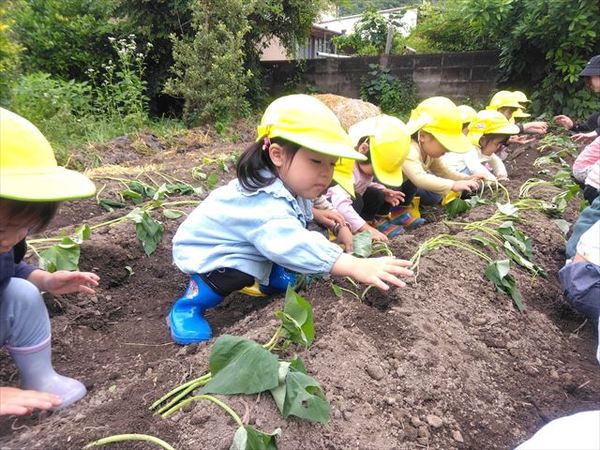 photo_69553830_R.jpg