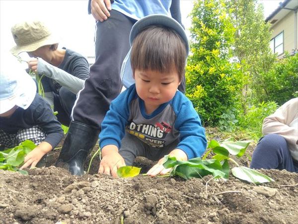 photo_69563515_R.jpg